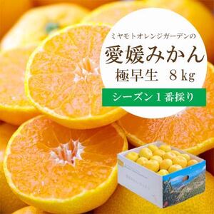 シーズン一番採り!極早生みかん 8kg【訳あり】【C25-131】【1166252】 YWTAP074