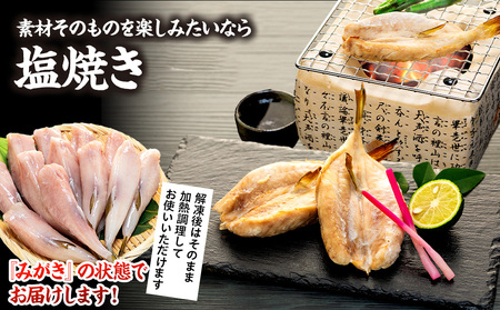 訳あり サバフグ 1kg 鍋 唐揚げ フグ 塩 焼き 小分け 魚 河豚 さかな 魚介 海鮮 新鮮 さかな 海の幸 海産物 グリル ごはん