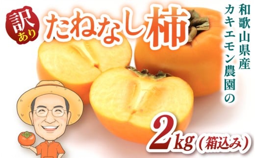 お試しに！【訳あり・ご家庭用】たねなし柿 約2kg(箱込)  カキエモン農園【2025年9月下旬～10月末頃順次発送】/ 柿 たねなし カキ 訳あり ご家庭用 2kg 和歌山県 かつらぎ町 産地直送 農家直送