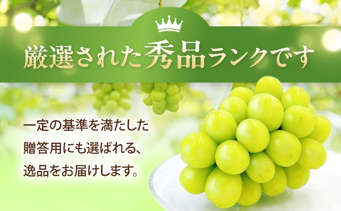 シャインマスカット しゃいんますかっと シャイン マスカット ますかっと Shine Muscat 秀品 3～5房 皮ごと