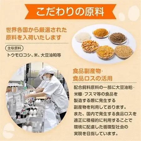 与那原町産の新鮮な卵160個(赤卵)【配送不可地域：離島】【1408738】
