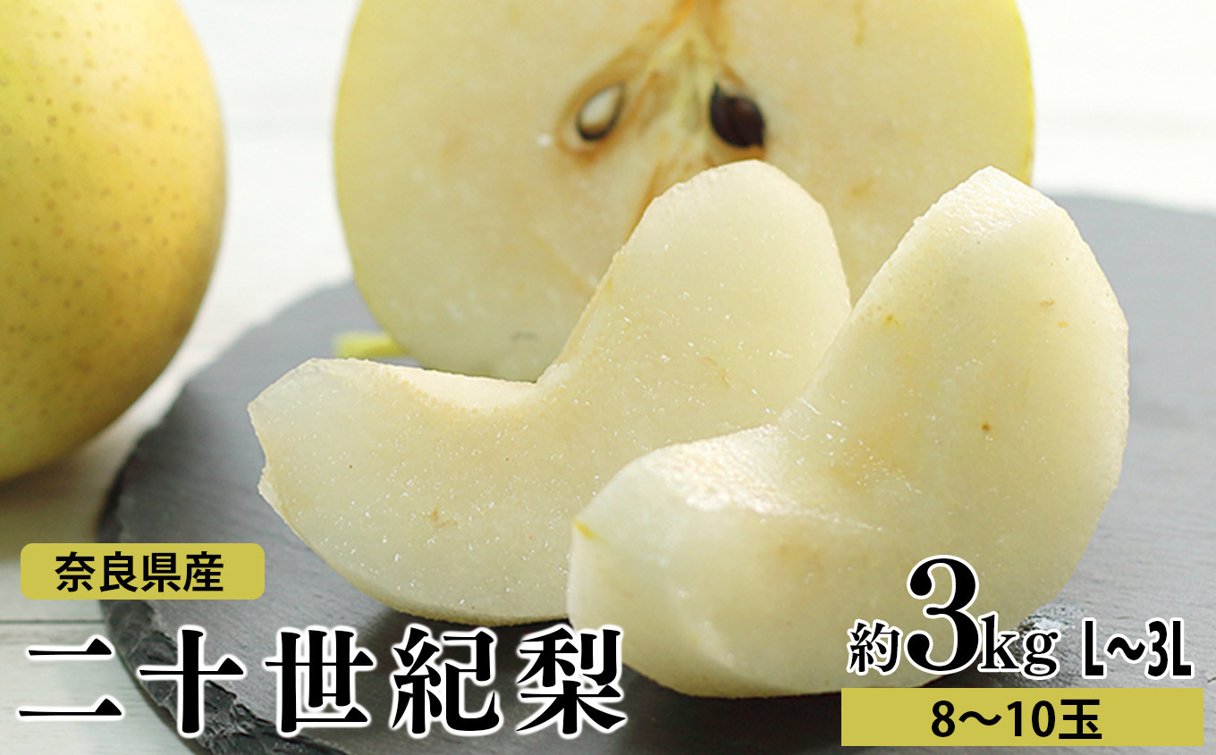 
            AC1 二十世紀梨 約3kg L ～ 3L （ 8玉 ～ 10玉 ）| 果物 くだもの フルーツ 梨 完熟 期間限定 産地直送 大淀町 奈良
          