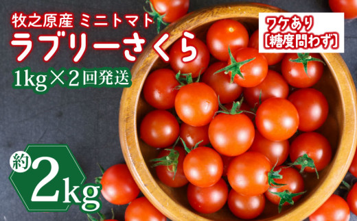 訳あり ミニ トマト フルーツ トマト ラブリーさくら うまたま 予約 受付 1kg × 2回発送 計 2kg 国産 野菜 フルーツ 甘い 別送 静岡県 牧之原市 山本農園