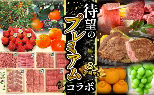 M04-0141_【ふるさと納税】待望のプレミアムコラボ【8回】定期便CB