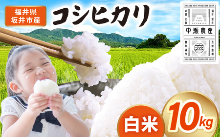 先行予約 【令和8年産・新米】 坂井市産 コシヒカリ 白米 10kg (5kg×2袋) (中瀬農産) 2026年10月以降順次発送予定 精米 おこめ [A-20508]