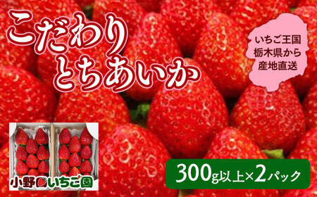 栃木県産 こだわり とちあいか【300g以上×2パック】| 家庭用 完熟 ※2025年11月中旬頃より順次発送予定