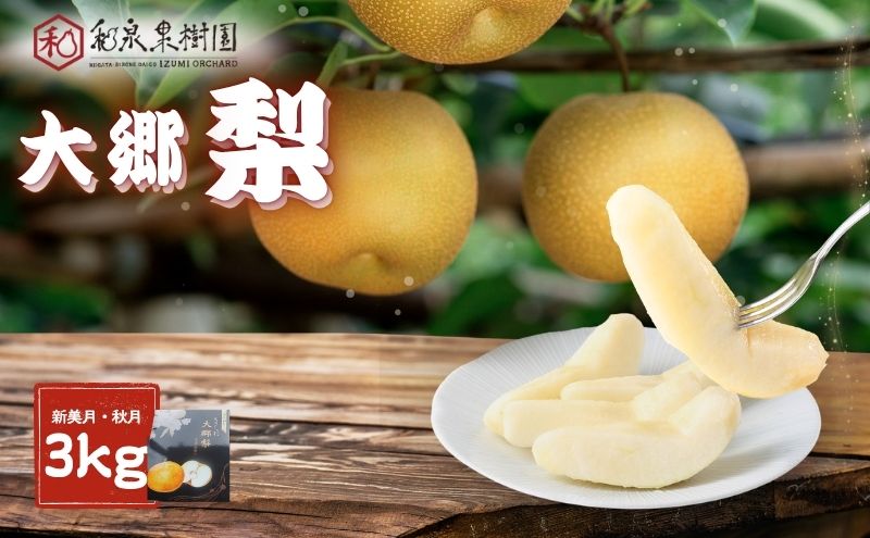 大郷梨3kg（新美月・秋月）