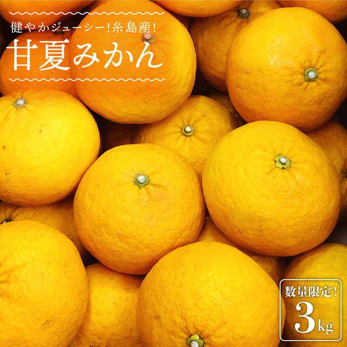 【ふるさと納税】【先行予約】健やかジューシー・夏の味 糸島産甘夏みかんM〜L玉・約3kg 【2026年4月以降順次発送】二丈赤米産直センター [ABB008] 常温 7000円 7千円