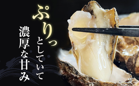 殻牡蠣 LLサイズ 15個 セット 産地直送 生食用 厚岸産 牡蠣