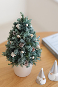 ホリデーツリー【クリスマス限定！申込は11月30日まで】 ブラウン