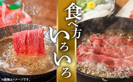 ミヤチク 牛肉 肉 すき焼き 宮崎牛 肩ロース スライス 300g×2パック 合計600g しゃぶしゃぶ