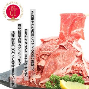 鹿児島 黒牛 モモ 切り落とし セット 計900kg【J-1901】 NFN630 【450pt】