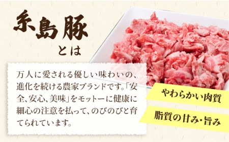【全3回定期便】毎日のメインのおかずを彩る精肉セット 1,050g 2-3人前 4種 糸島市/糸島ミートデリ工房[ACA201]