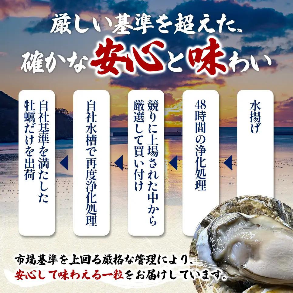 【お歳暮】北海道 厚岸産 ブランド牡蠣 マルえもん 殻付き 牡蠣 LLサイズ 14個 【光輝】 [ 魚貝類 生牡蠣 海鮮 海の幸 生食用牡蠣 生食用 生食用殻付き牡蠣 濃厚 甘み  オイスター ]  