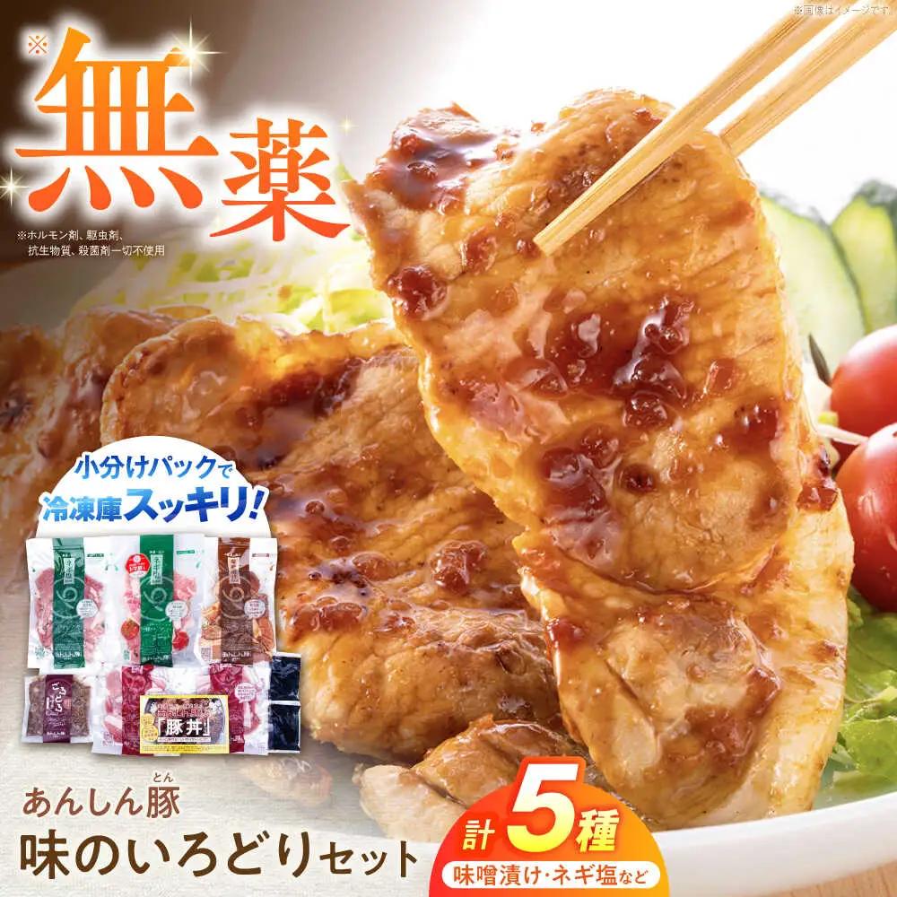 豚肉 味のいろどりセット 5種 藤井ファーム  [AWAF002]