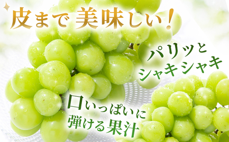 【先行予約】＜シャインマスカット 家庭用 約2kg＞ 果物 くだもの フルーツ ぶどう 葡萄 ブドウ シャインマスカット しゃいんますかっと 3～5房 2キロ ご家庭用 種なし 甘い 皮ごと 特産品 