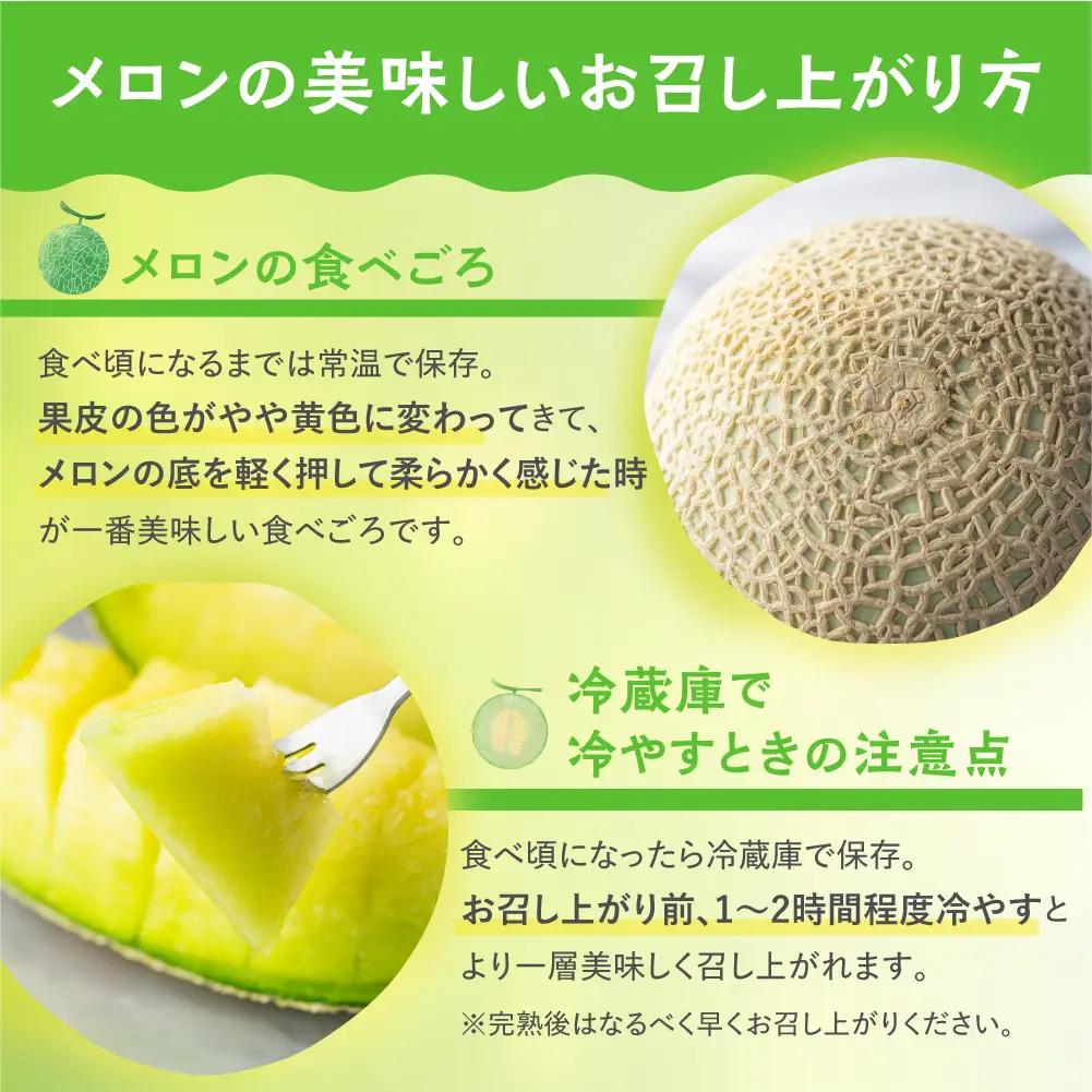 【6月中旬～発送】マスクメロン 2玉 メロン マルカベジフル 