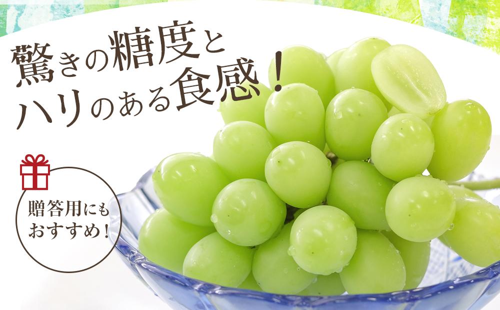 【2026年先行予約】シャインマスカット 約2kg (4～5房)【筑前町産】