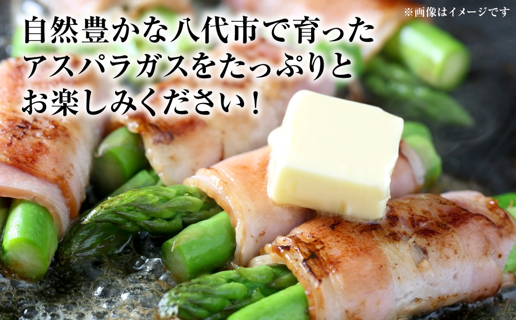 自然豊かな八代市で育ったアスパラガスをたっぷりお楽しみください！