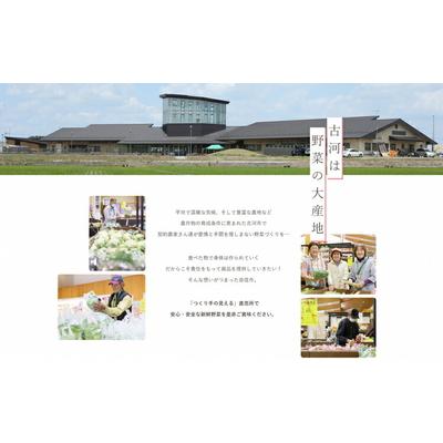 ふるさと納税 古河市 道の駅まくらがの里古河 季節の新鮮野菜おまかせBセット | 野菜 おいしい 産地直送 _BQ04 |  | 01