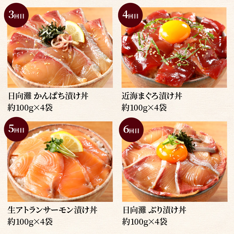 お魚の漬け丼バラエティ7回定期便 N019-YF072_イメージ3