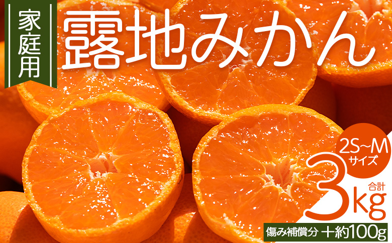 みかん 【2026年10月下旬発送】露地みかん(2S～Mサイズ) 3kg 家庭用 （傷み補償分 ＋約100g） - 果物 くだもの フルーツ 果実 柑橘 かんきつ 蜜柑 みかん om-0001