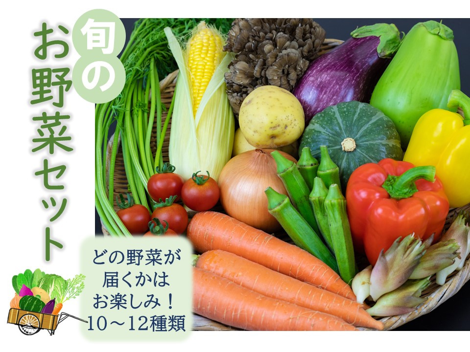 
                  【期間限定】高原の町「飯南町」旬のお野菜セット～いっぺんたべてみんさい【国産 詰め合わせ 農産物 冷蔵】
                