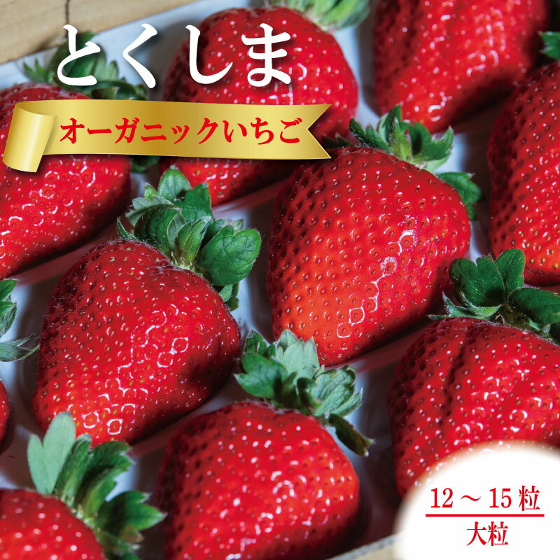 【ふるさと納税】 いちご 苺 大粒 12から15粒 1月中旬から5月末まで発送 オーガニック 高級 あま 甘い 果物 フルーツ デザート 赤 お歳暮 ギフト 箱 贈答 プレゼント 自宅 旬 先行予約 年 日 品種 有機JAS ふるさと 徳島 とくしまオーガニックいちご大粒12から15粒