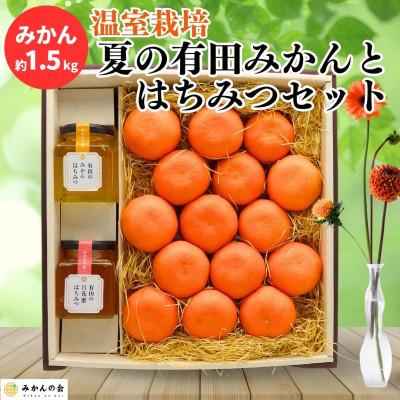 ふるさと納税 有田川町 夏の有田みかん(約1.5kg)と 有田のはちみつ( みかん蜂蜜・百花蜜 各210g) セット