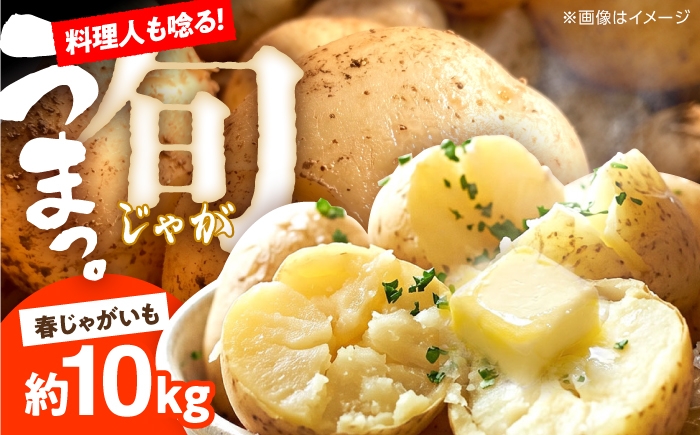 
                  【2027年5月～発送】じゃがいも 約10kg 馬鈴薯 春じゃが / ジャガイモ ばれいしょ 野菜 やさい 芋 / 南島原市 / 株式会社松尾青果 [SGU002]
                
