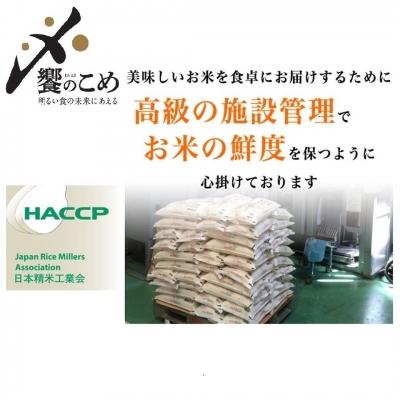 ふるさと納税 宝達志水町 米 令和6年 つきあかり 精米 10kg ×2袋 計20kg [中橋商事 石川県 38600967] |  | 03