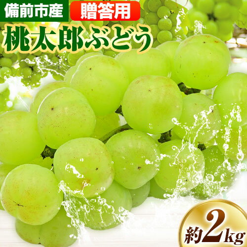 【ふるさと納税】【2025年発送】備前市産 贈答用 桃太郎ぶどう 約2kg（3～4房） 株式会社備前の夢《9月上旬-10月上旬頃出荷》岡山県 備前市 ぶどう 葡萄 桃太郎ぶどう 瀬戸ジャイアンツ フルーツ
