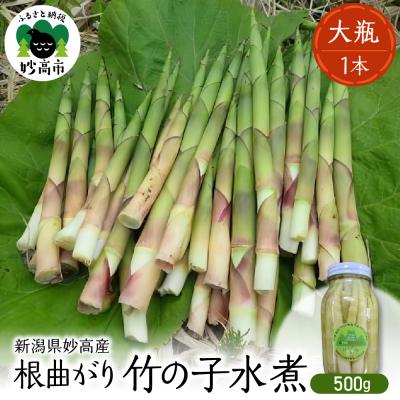 ふるさと納税 妙高市 妙高産根曲がり竹の子水煮【大瓶】 500g