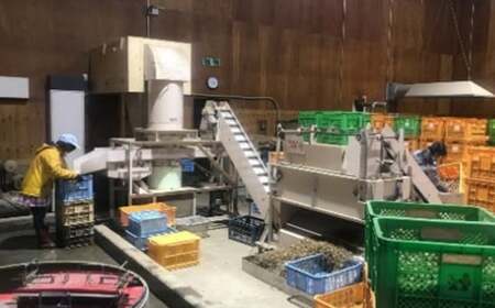 【先行予約】会津産遠赤二度焙煎煎りさや落花生16袋セット(2025年12月上旬以降出荷)　【07208-0640】