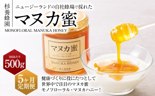 【5ヶ月定期便】ニュージーランド産 マヌカ蜜 約500g×5ヶ月 ／ 計約2.5kg マヌカハニー マヌカ モノフローラル・マヌカハニー 蜂蜜 はちみつ ハチミツ 健康食品 定期便 杉養蜂園