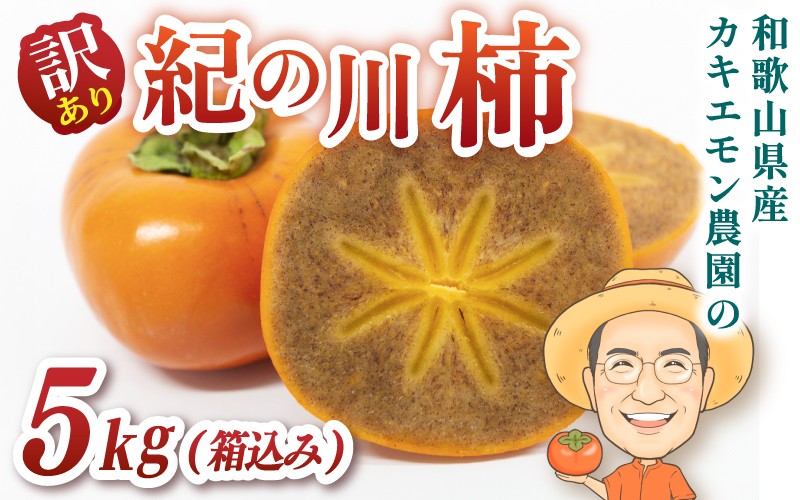 
                  【訳あり・ご家庭用】紀の川柿 約5kg 18個前後 カキエモン農園 【2026年10月中旬～11月下旬頃順次発送】/ 和歌山県 かつらぎ町 果物 くだもの フルーツ 柿 かき 和歌山 人気 送料無料
                