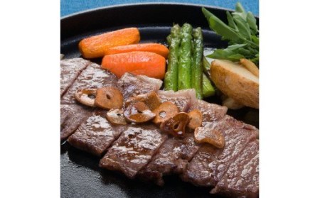 【28019】A5飛騨牛ロースステーキ用400ｇ（200ｇ×2枚）