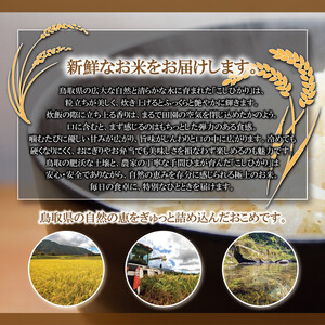 1108.令和7年産　こしひかり玄米　5kg