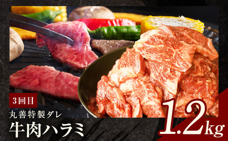 焼肉定期便 総量3.4kg（肩ロース／牛タン／牛ハラミ）全3回 丸善味わい加工【毎月発送コース】