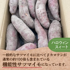 【予約：2025年10月下旬から順次発送】北の果てのサツマイモ ハロウィンスイート ※土付き ( 北海道 野菜 芋 さつま芋 さつまいも サツマイモ 期間限定 数量限定 )【133-0001-2025