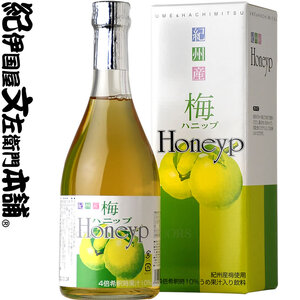 梅ハニップ Honeyp 590g【緑】12本セット 希釈用 梅ドリンク 梅ジュース うめ 紀州産青梅果汁使用 化粧箱入り プラム食品 (F010)_V7264