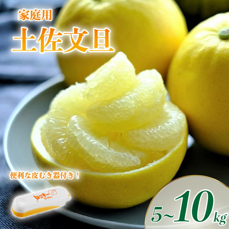 【ふるさと納税】 文旦 土佐文旦 5~10kg L~3L サイズ（ 家庭用 ）ムッキーちゃん 付き 柑橘 柑橘類 フルーツ 文旦 ぶんたん ブンタン 土佐文旦 果物 くだもの デザート フルーツセット 産地直送 大玉 小玉 季節限定 お裾分け 分担 丸昭果樹園 高知柑橘 高知県 黒潮町