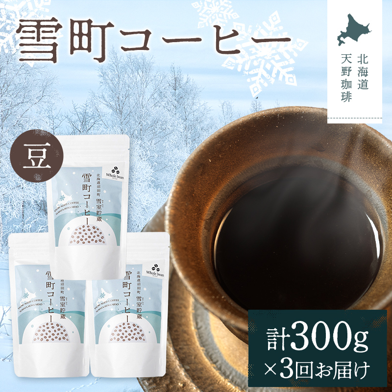 【定期便】雪町コーヒー 豆（100g）3個セット×3回 自家焙煎 低温貯蔵 エチオピア 北海道 沼田町 n-0117