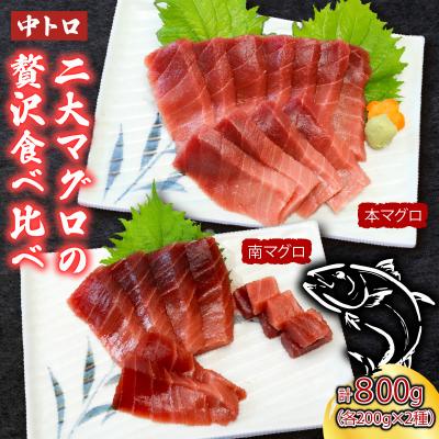 ふるさと納税 室戸市 厳選天然本まぐろ中トロ2柵と厳選天然南まぐろ 各2柵 食べ比べ 【合計800g】