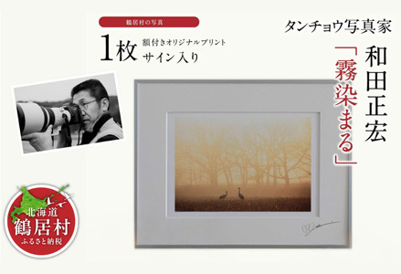 鶴居村 タンチョウ写真家 和田正宏 額付きオリジナルプリント「霧染まる」(サイン入り)