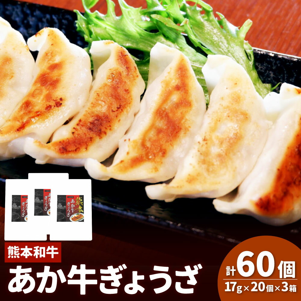 【ふるさと納税】熊本和牛 あか牛ぎょうざ 計60個（20個入り×3箱） 計1020g 和牛 牛肉 お肉 野菜 キャベツ ニラ ニンニク 玉ねぎ ギョウザ ギョーザ 餃子 中華惣菜 冷凍 熊本県産 国産 九州 熊本県 湯前町 送料無料