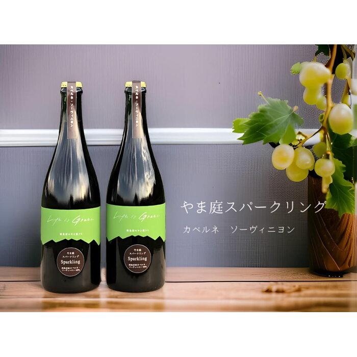 【ふるさと納税】カベルネ・ソービニヨンの辛口スパークリングワイン　2本セット