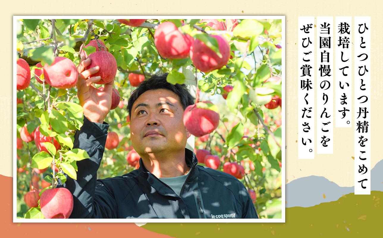 ≪2026年12月発送≫山の完熟サンふじ約3kg 　 【青森県 平川市 吹田りんご園】サンふじ ふじ りんご リンゴ アップル 果物 くだもの フルーツ 平川市産 完熟りんご 
