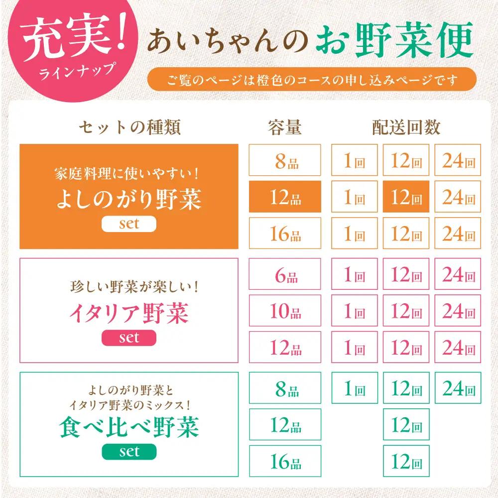 【12品 / 12回定期便】「よしのがり野菜」セット（レギュラー） [FAA006]