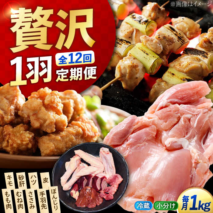 【ふるさと納税】【全12回定期便】うまさが違う！ せとうち育ちの江田島産地鶏 一黒シャモ一羽パック(合計約1kg) 鶏 人気 肉 グルメ 取り寄せ プレゼント 広島県産 江田島市/ポーク＆チキン江田島[XAH007] 鶏肉 精肉 とり肉 鳥 もも むね モモ ムネ 若鶏 地鶏 小分け パック